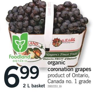 Fortinos Organic coronation grapes 2 l basket offer