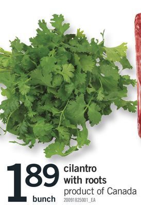 Fortinos Cilantro with roots offer
