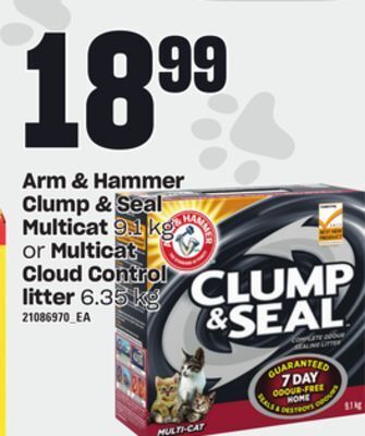 Loblaws Arm & hammer clump & seal multicat, 9.1 kg cloud control litter, 6.35 kg litter, 6.35 kg offer