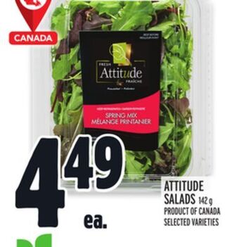 Metro Attitude salads offer
