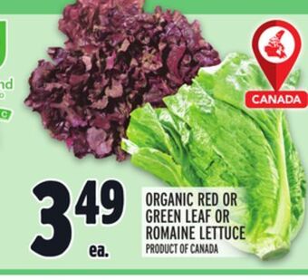 Metro Organic red or green leaf or romaine lettuce offer