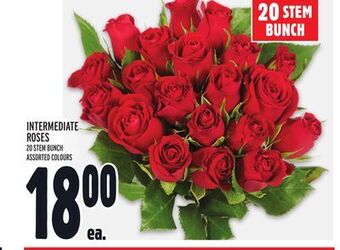 Metro Intermediate roses offer