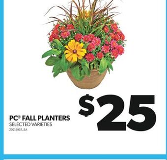 Real Canadian Superstore Pc fall planters offer