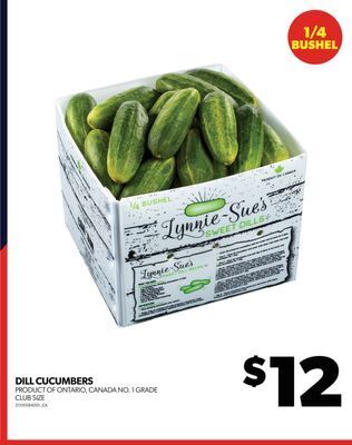 Real Canadian Superstore Dill cucumbers, 1/4 bushel offer
