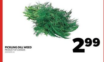 Real Canadian Superstore Pickling dill weed offer