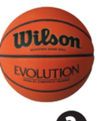 Canadian Tire Wilson evolution basketball offer