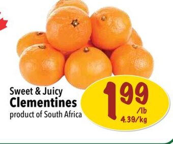 Farm Boy Clementines offer