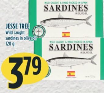 Marché Adonis Jesse tree wild caught sardines in olive oil offer