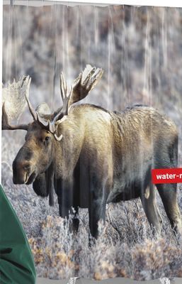 Giant Tiger Shower curtain offer