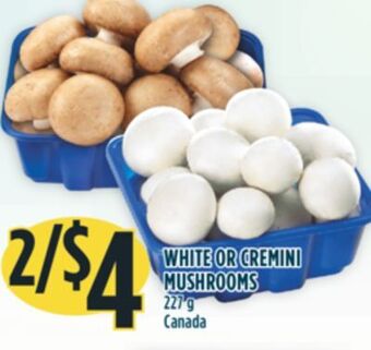Marché Adonis White or cremini mushrooms offer