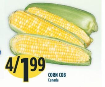 Marché Adonis Corn cob offer