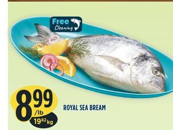 Marché Adonis Royal sea bream offer