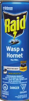 Home Hardware Wasp & hornet bug killer offer