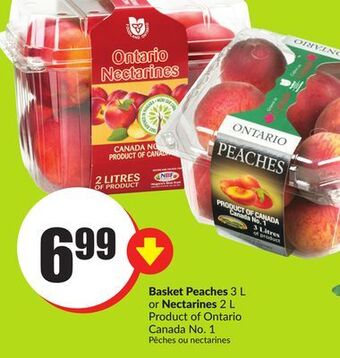 FreshCo Basket peaches 3 l or nectarines 2 l product of ontario canada no. 1 offer