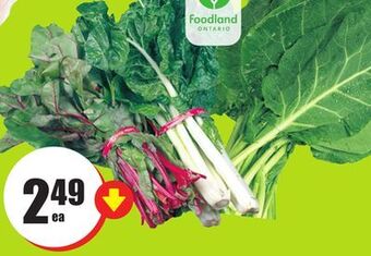 FreshCo Red, kale, swiss chard, collard or dandelion greens offer