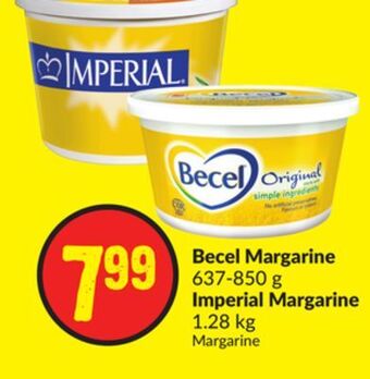 FreshCo Beef margarine 637-850 g offer