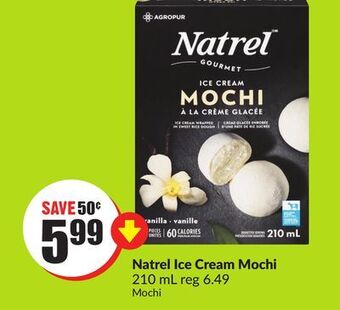 FreshCo Natrel ice cream mochi 210 ml offer