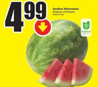 Chalo FreshCo Seedless watermelon product of ontario offer