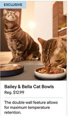 Petvalu Bailey & bella cat bowls offer