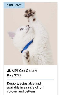 Petvalu Jump! cat collars offer
