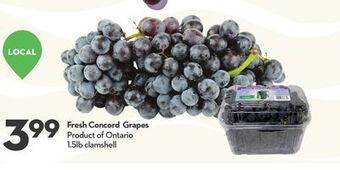 Longo's Fresh concord grapes offer