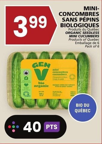 Rachelle-Bery Grocery ORGANIC SEEDLESS MINI CUCUMBERS Pack of 6 offer