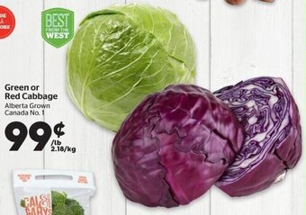 Calgary Co-op Green or Red Cabbage offer