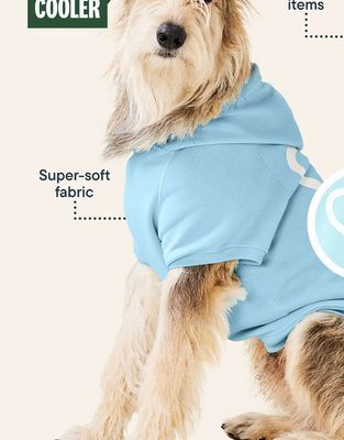 Petvalu Bailey & bella heart hoody offer