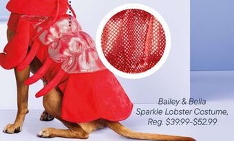 Petvalu Bailey & bella sparkle lobster costume offer