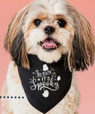 Petvalu Bailey & bella so cute it's spooky bandana offer