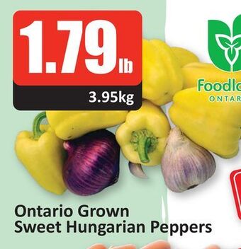 Starsky Ontario grown sweet hungarian peppers offer