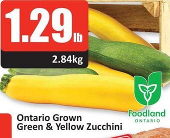 Starsky Ontario grown green & yellow zucchini offer