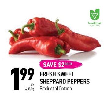Coppa's Fresh Market Fresh sweet sheppard peppers offer