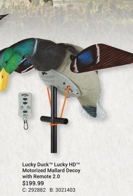 Bass Pro Lucky duck lucky hd motorized mallard decoy with remote 2.0 offer