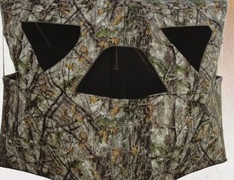 Bass Pro Pursuit hub ground blind offer