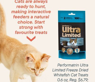 Petvalu Performatrin ultra offer