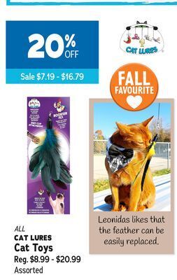 Ren’s Pets Depot All cat lures cat toys offer