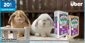 Ren’s Pets Depot All awf small animal bedding offer