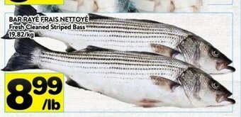 Supermarché PA Fresh Cleaned Striped Bass offer