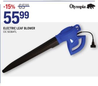 NAPA Auto Parts Electric leaf blower offer