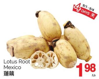 T&T Supermarket Lotus root offer
