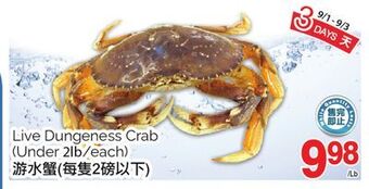 T&T Supermarket Live dungeness crab, (under 2lb/each) offer