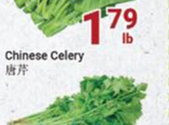 Oceans Fresh Food Market Chinese celery offer