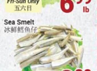 Oceans Fresh Food Market Sea smelt offer