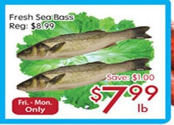 Sunny Food Mart Fresh sea bass offer