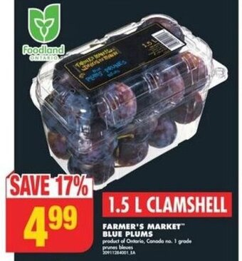 No Frills FARMER'S MARKET BLUE PLUMS offer