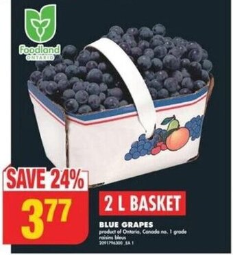 No Frills BLUE GRAPES 2 L BASKET offer