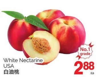 T&T Supermarket White nectarine offer
