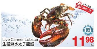 T&T Supermarket Live canner lobster offer