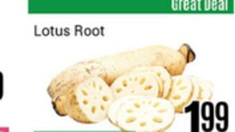 Nations Fresh Foods Lotus root offer